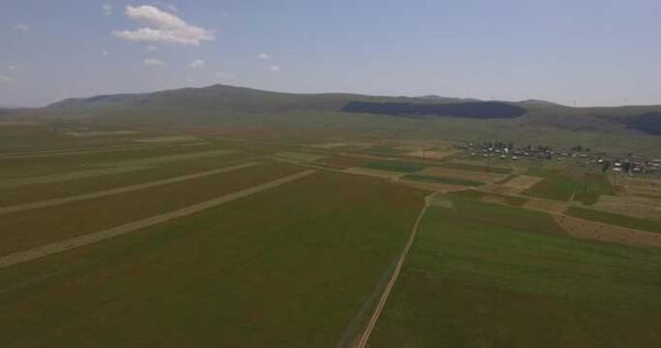 წალკა, პანორამა მინდორზე 