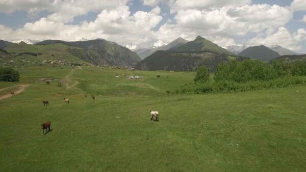 თუშეთი, ქვემო ომალო