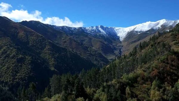 ქვემო ომალო, თუშეთი