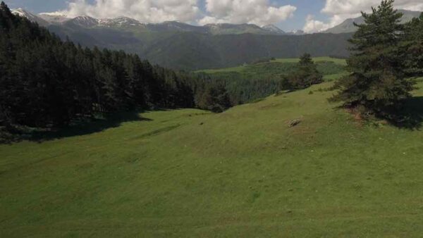 ჰაიკინგი თუშეთში