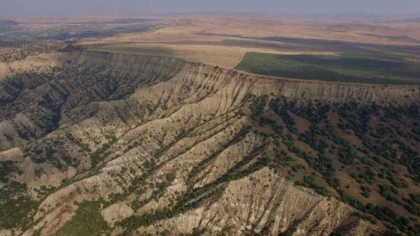ვაშლოვანის ნაკრძალი საერთო ხედი