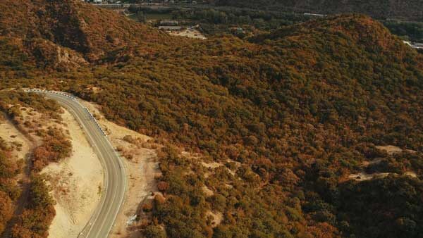 ​შიომღვიმის მონასტერთან მისასვლელი გზა