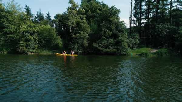 ფოთის პორტი, კონტეინერების გემი