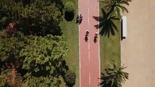 ბათუმის ველობილიკი, ზედხედი