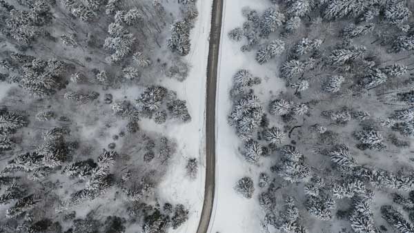 ასფალტირებული გზა ტყეში, დათოვლილი ტყე