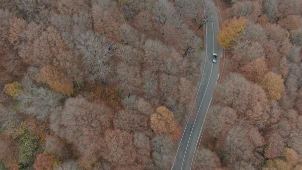 მანქანა ასფალტირებულ გზაზე