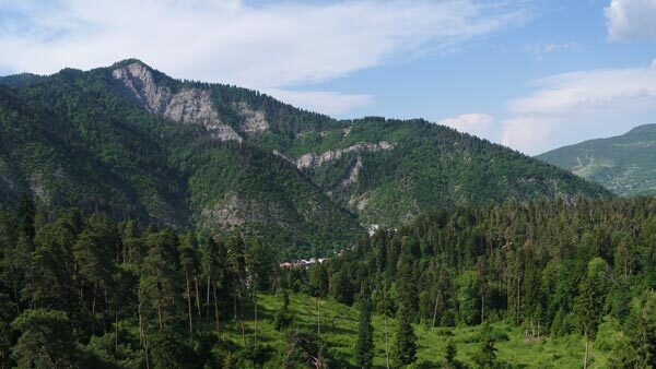 ბორჯომის პარკი, ბუნების ხედი