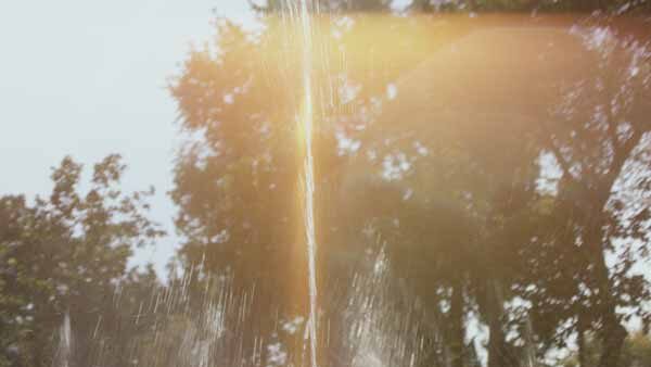 შადრევანი დედაენის ბაღში