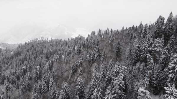 ბაკურიანი, ზამთარი , თებერვალი