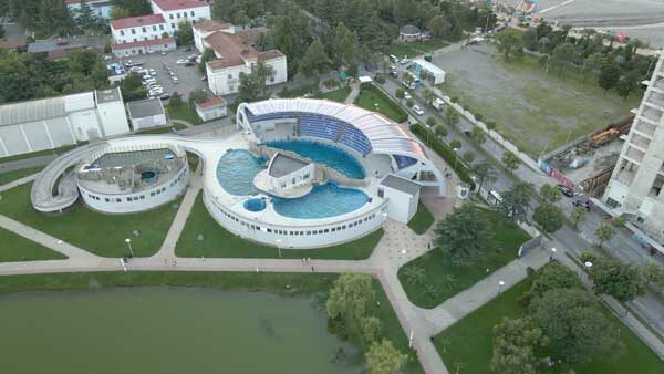 ბათუმის დელფინარიუმი, საღამო