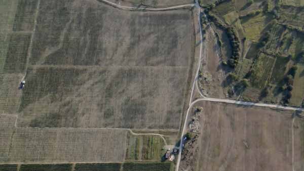 კახეთი, ვენახი, ზედხედი