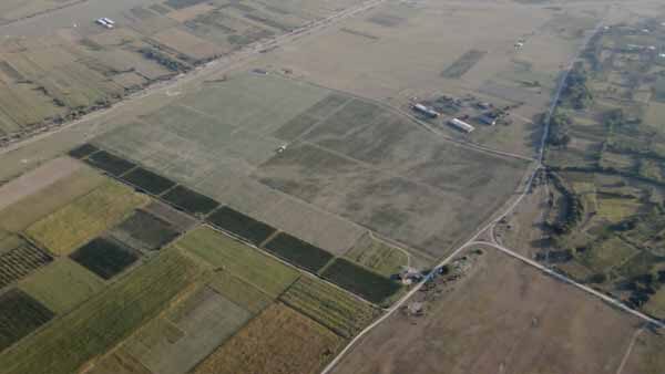 ვენახები კახეთში, ზედხედი