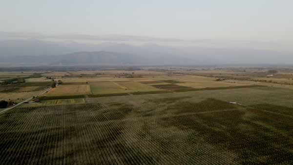 ვენახი კახეთი, ზედხედი დრონიდან