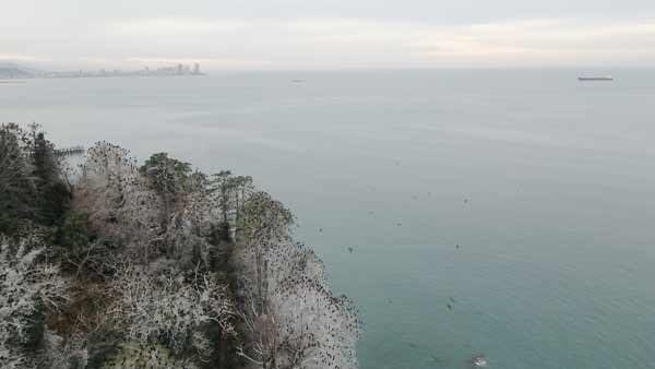 აჭარა, ბათუმი, მწვანე კონცხი, ზამთარი