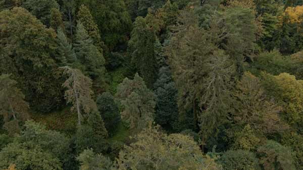 ზამთრის ბუნება, მწვანე კონცხი, აჭარა