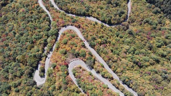 საავტომობილო გზა საბადურის ტყეში, შემოდგომა