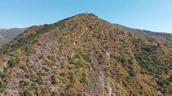 ეკლესია საბადურის ტყეში