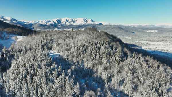 ბაკურიანი, ზამთრის ხედი