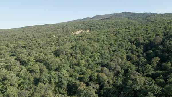 შუამთა, კახეთი