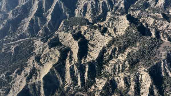 ვაშლოვანის სახელმწიფო ნაკრძალი