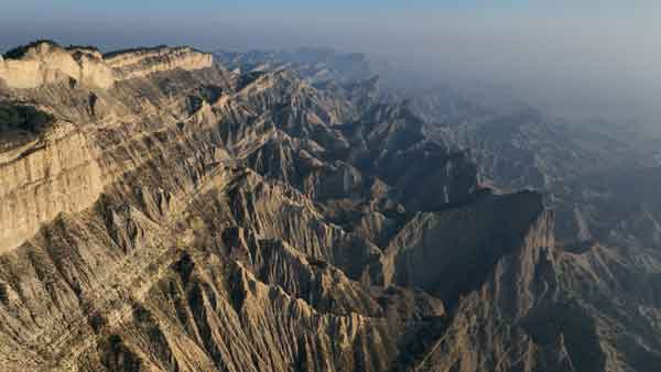ვაშლოვანის სახელმწიფო ნაკრძალი