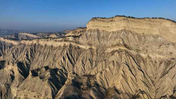 საერთო ხედი ვაშლოვანის პარკი