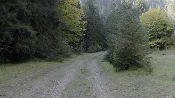 ლომის მთა, ხედი დრონიდან