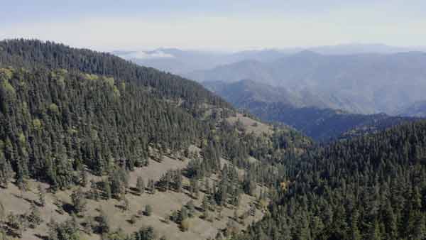 ლომისმთა, საერთო ხედი ბუნება