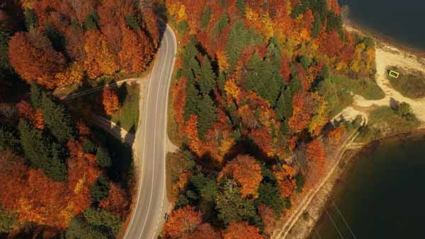 შაორის ტბა, შემოდგომა, ფერადი ტყე