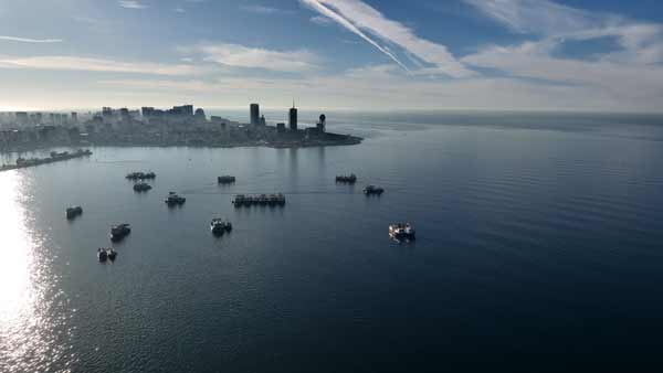 ბათუმის ხედი, გემები ბათუმის პორტში