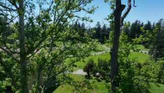 დადიანების სასახლე, ზუგდიდი