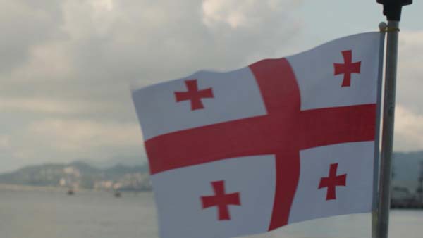 საქართველოს დროშა, ნავზე