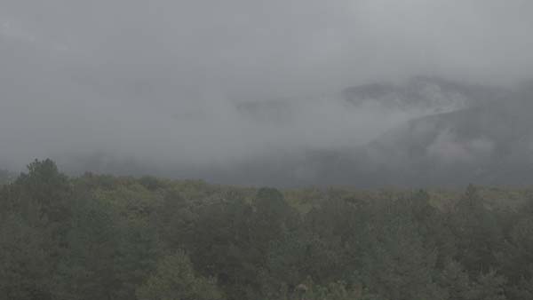 დიდგორის ტყე, ღრუბელი