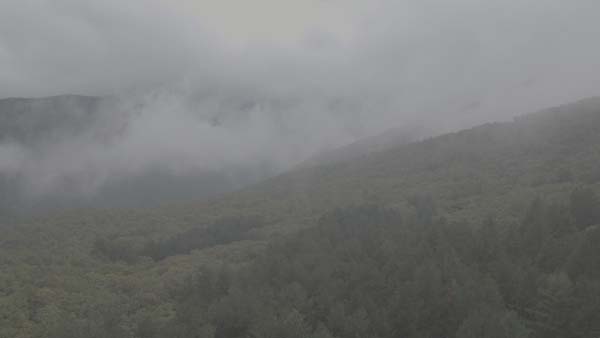 დიდგორი, ტყე, ღრუბლები