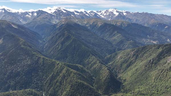 ტყე სვანეთი, საქართველო