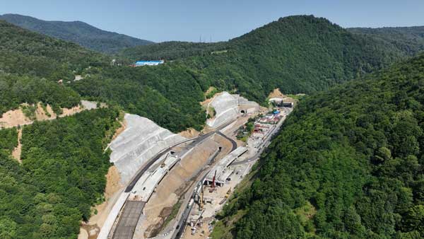 გვირაბები და ხიდების , რიკოთი