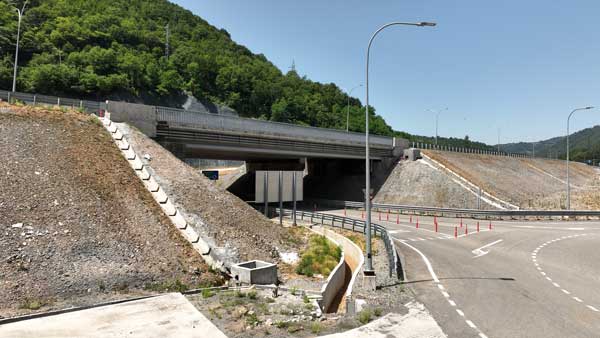 ზაფხული 2024 წელი რიკოთის მონაკვეთი