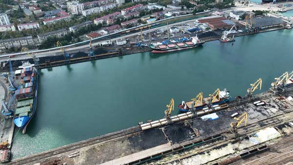 ფოთის პორტი, დოკი