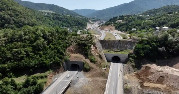 რიკოთის უღელტეხილი